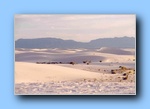 In White Sands fühlt man sich wie im tiefsten Winter bei 30 Grad Celsius und mehr.